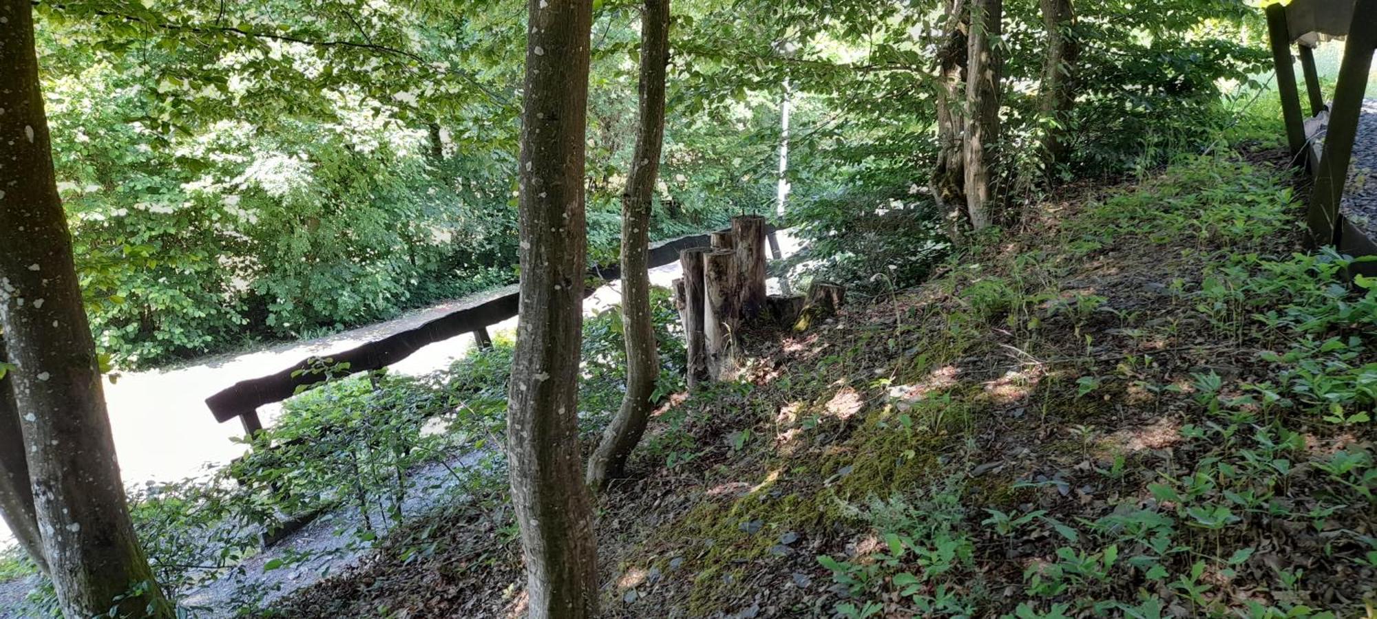 Le Sentier Des Lavandes Vresse-sur-Semois Exterior photo