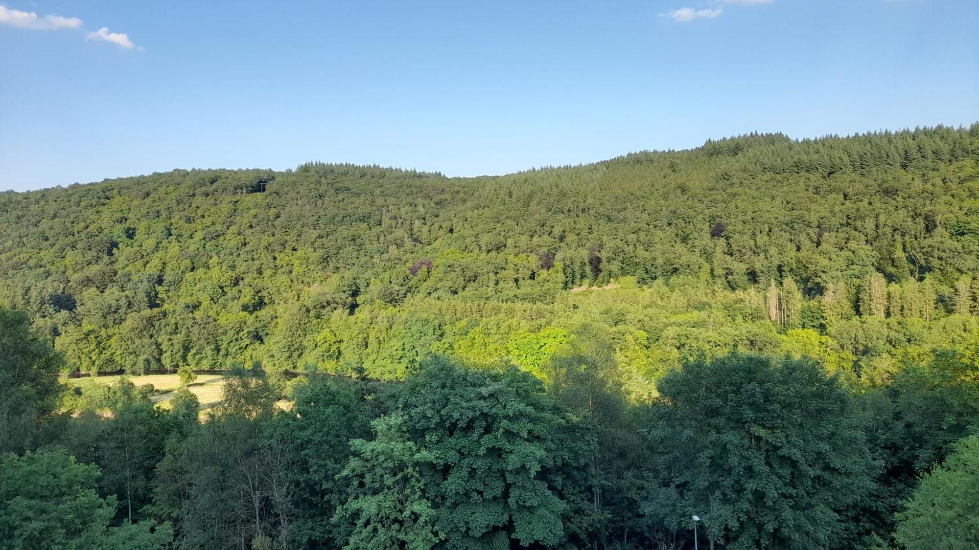 Le Sentier Des Lavandes Vresse-sur-Semois Exterior photo